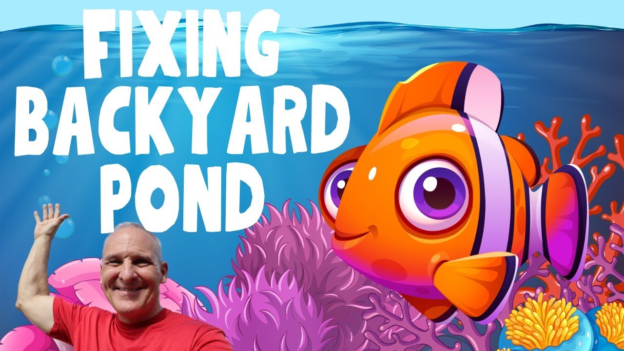 Backyard Pond Repair in Bacolod | Expat Life Philippines