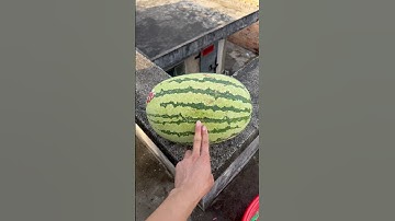 Experiment: Will watermelons and cantaloupes explode if rolled down a tall building? 🍉💥#shorts