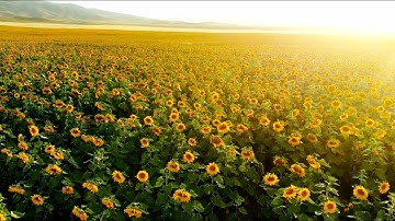 LUISA space ambient music - soothing, relaxing and peaceful - UDO Super Gemini