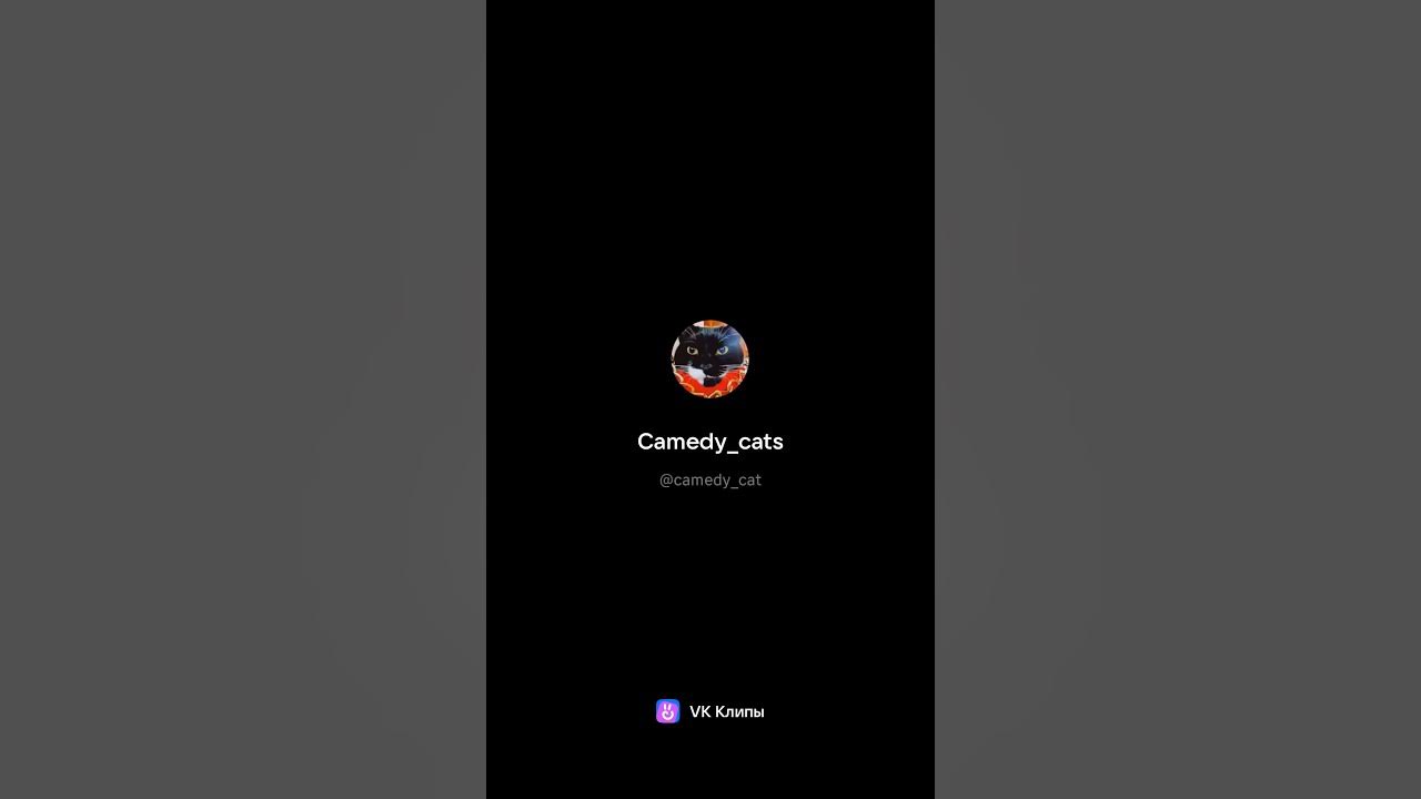 Как покормить котенка - YouTube