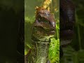 ARK ASCENDED arrive sur Switch 2 #arksurvivalascended #gaming #switch