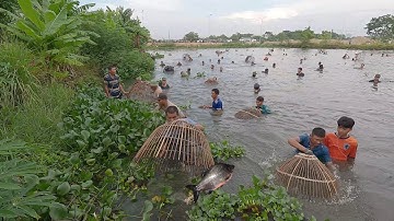 Nơm cá chim khủng hưng hugo