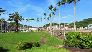 Vr180 Kotsubo Seaside Park Kanagawa 小坪海浜公園 神奈川 2022-07