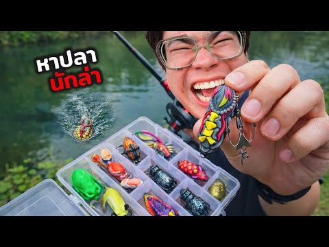 ล่าปลานักล่า กับมือสมัครเล่น 🎣🐟