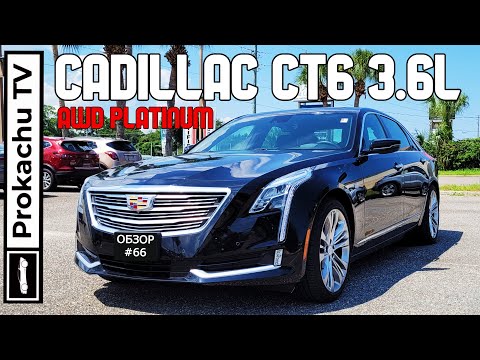 Video: Cadillac Williams Čistá hodnota: Wiki, ženatý, rodina, svadba, plat, súrodenci