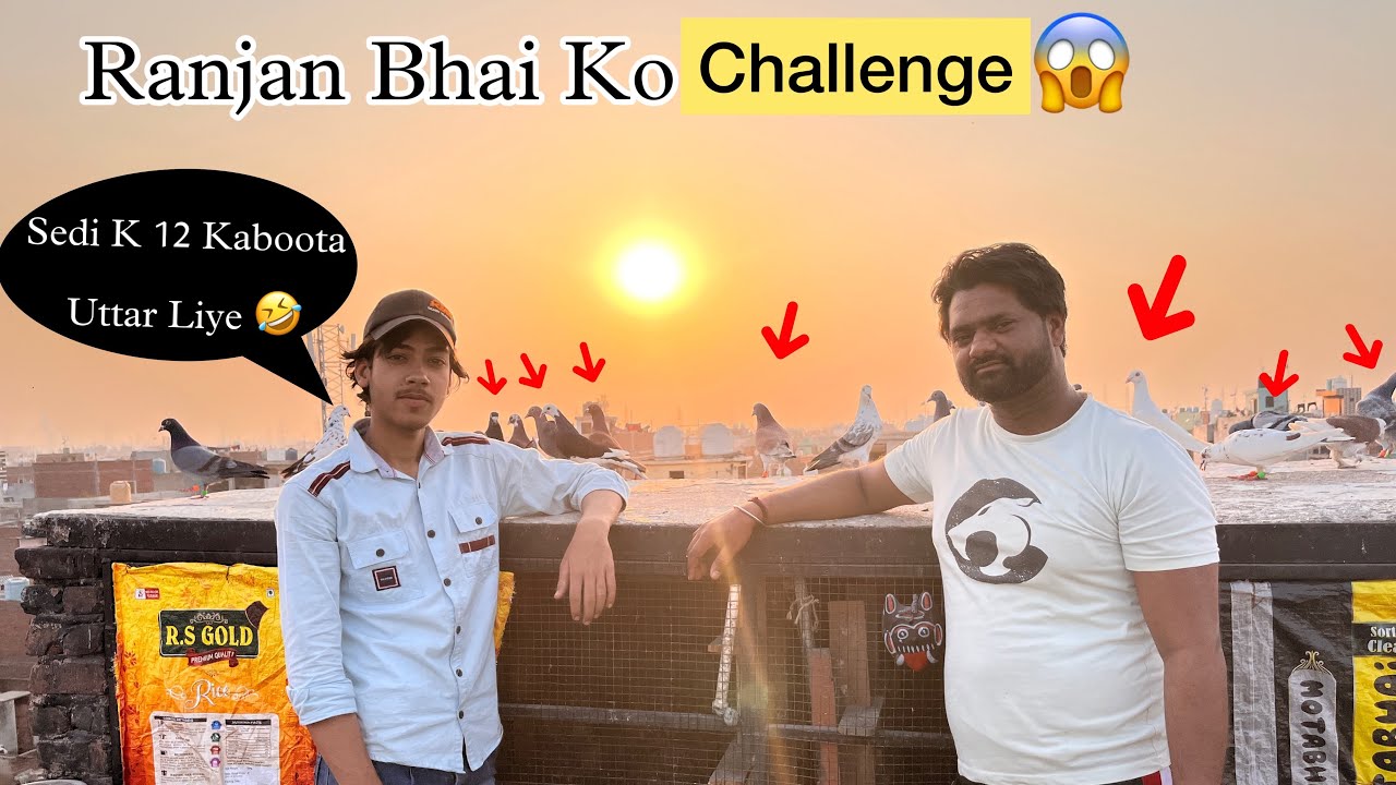 Rajan Bhai Or Ashish K Kabootaro Ki Laddiya ❤️‍🔥😱