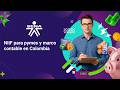 NIIF para PYMES y marco contable en Colombia