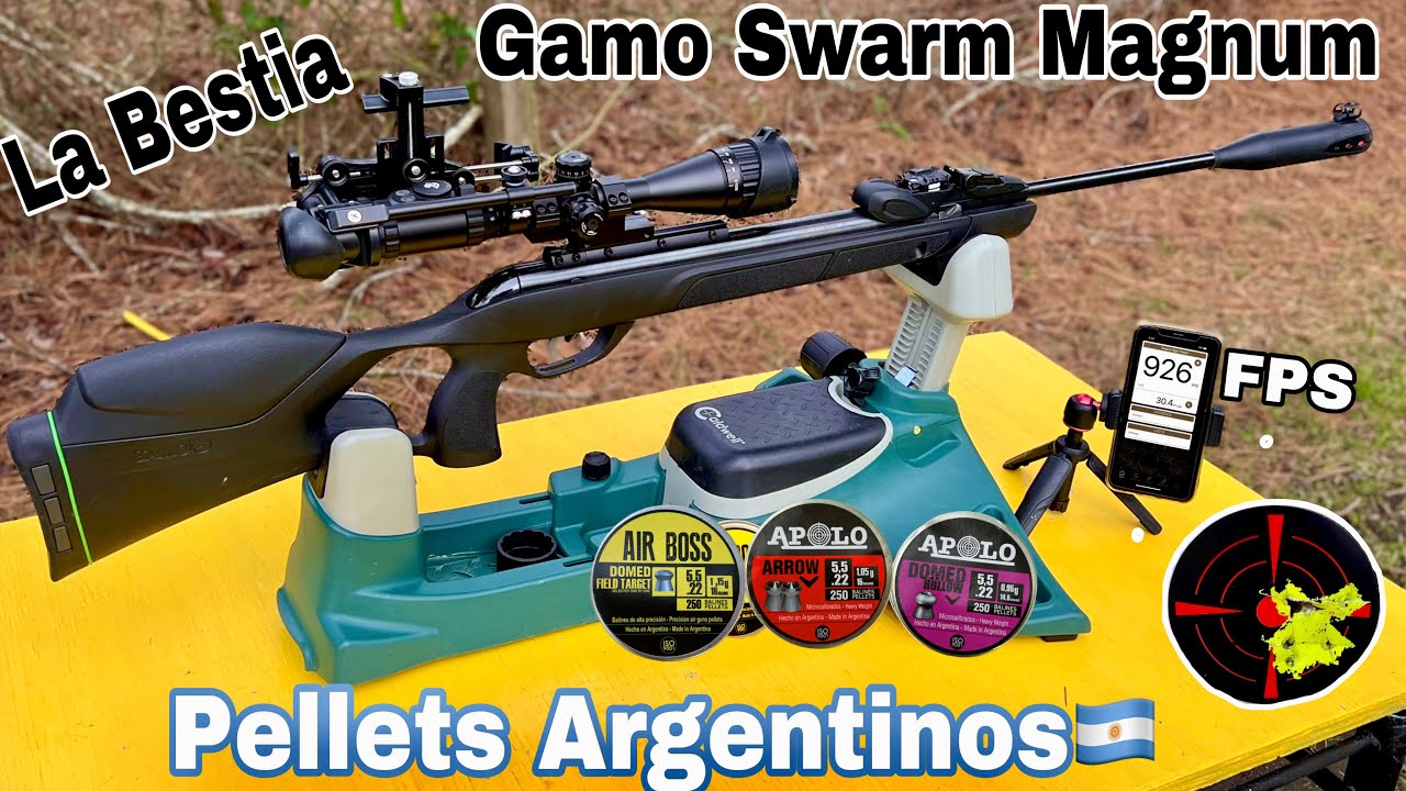Postones-Pellets Apolo En El Gamo Swarm Magnum G2 .22(que tan buenos son 