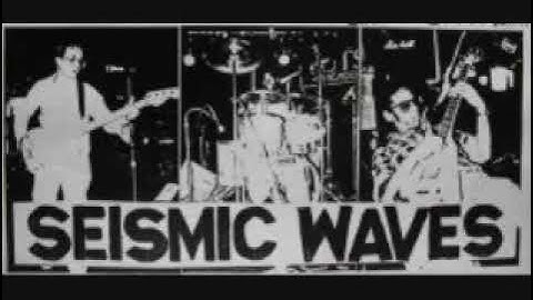 Seismic Waves- Lipsynch to the GoGos