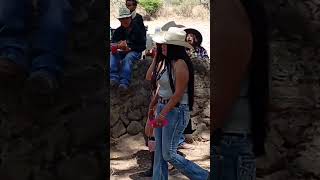 castro jalisco 2026
