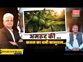 अमरूद का नर्सरी किंग कालूराम मीना। Haldhar Times। Kaluram Meena। #kisan #guava #nursery #agriculture