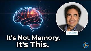 The Executive Function Crisis In Vascular Dementia