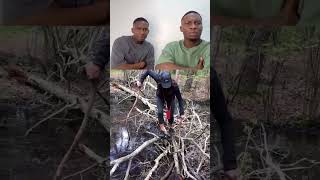 Reacting to Laugh-Out-Loud Videos #reaction #funny #viral #lol