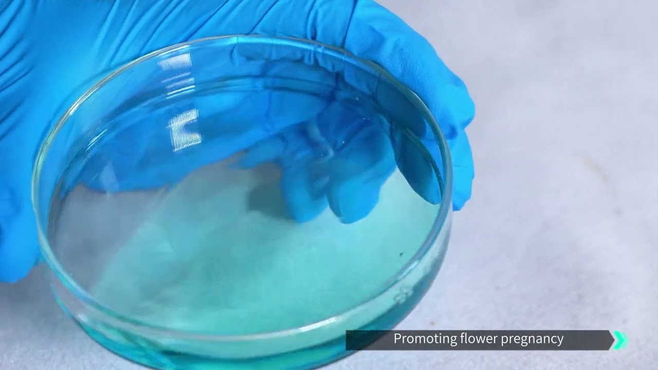 High Efficiency Flower Promoter Fertilizer