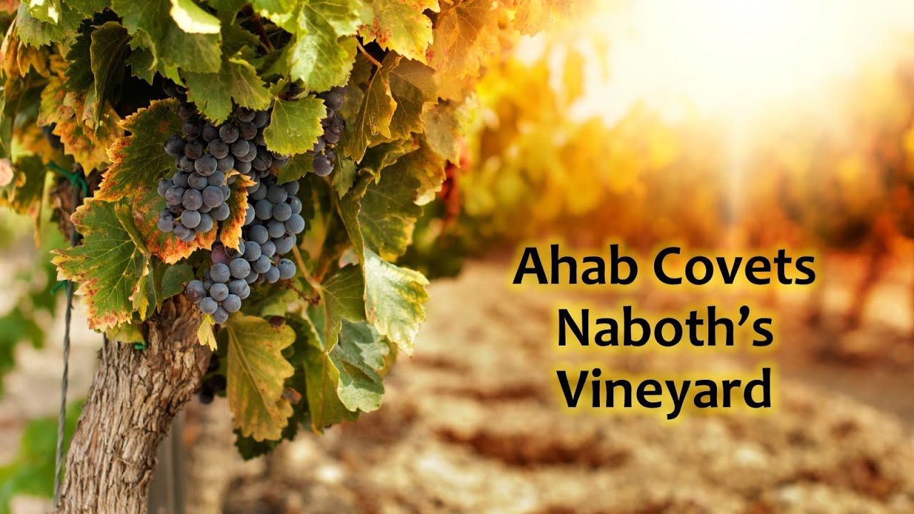 Parable Of The Vineyard Meaning Parable Of The Vineyard Meaning