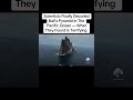 Scientists Finally Decoded Ball’s Pyramid In The Pacific Ocean — What...