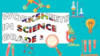 Worksheets In Grade 3 Science