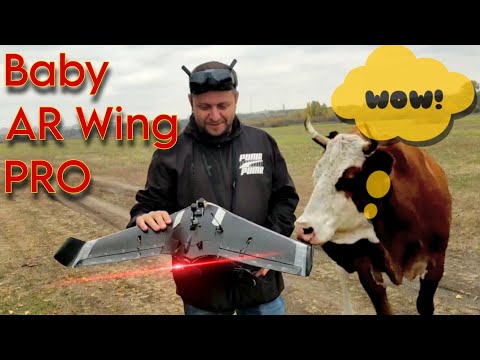 Baby AR Wing PRO. Идеальный сетап. Компоновка и настройка