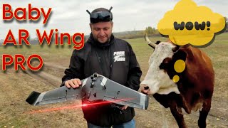 Baby AR Wing PRO. Идеальный сетап. Компоновка и настройка