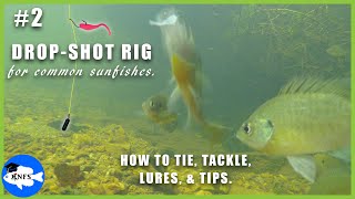 How to Catch Common Sunfishes Pt. 2 | DropShot Rig