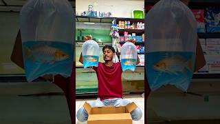 গোপালগঞ্জ পুলিশলাইন #anondopets #shorts