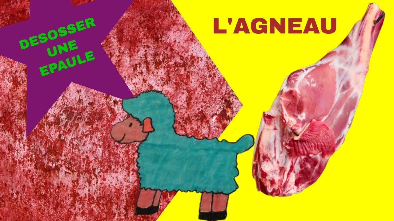 comment désosser une épaule d'agneau facilement