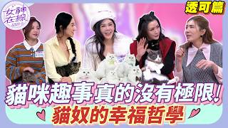 #女神透可 家貓最讓人揪心的時刻！貓奴幸福哲學 提早學會放下？！│ 女神在線TV45