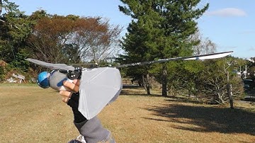 Dragonfly21-11 with Wing flapping amplitude change system: Test Flight 1 in strong wind