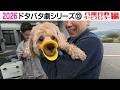 2026狂犬病予防注射会場のドタバタ劇⑬ 八尾行政サービスセンター編