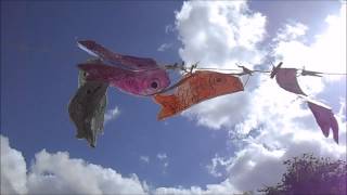 Koinobori