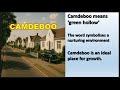 🌿 Camdeboo Explained | The “Green Hollow” in My Children! My Africa! 🌿