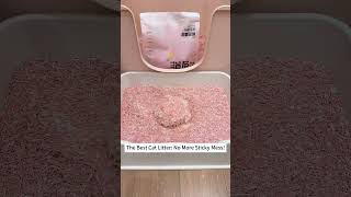 Finally! A Cat Litter That Doesn’t Stick to Anything Net Worth