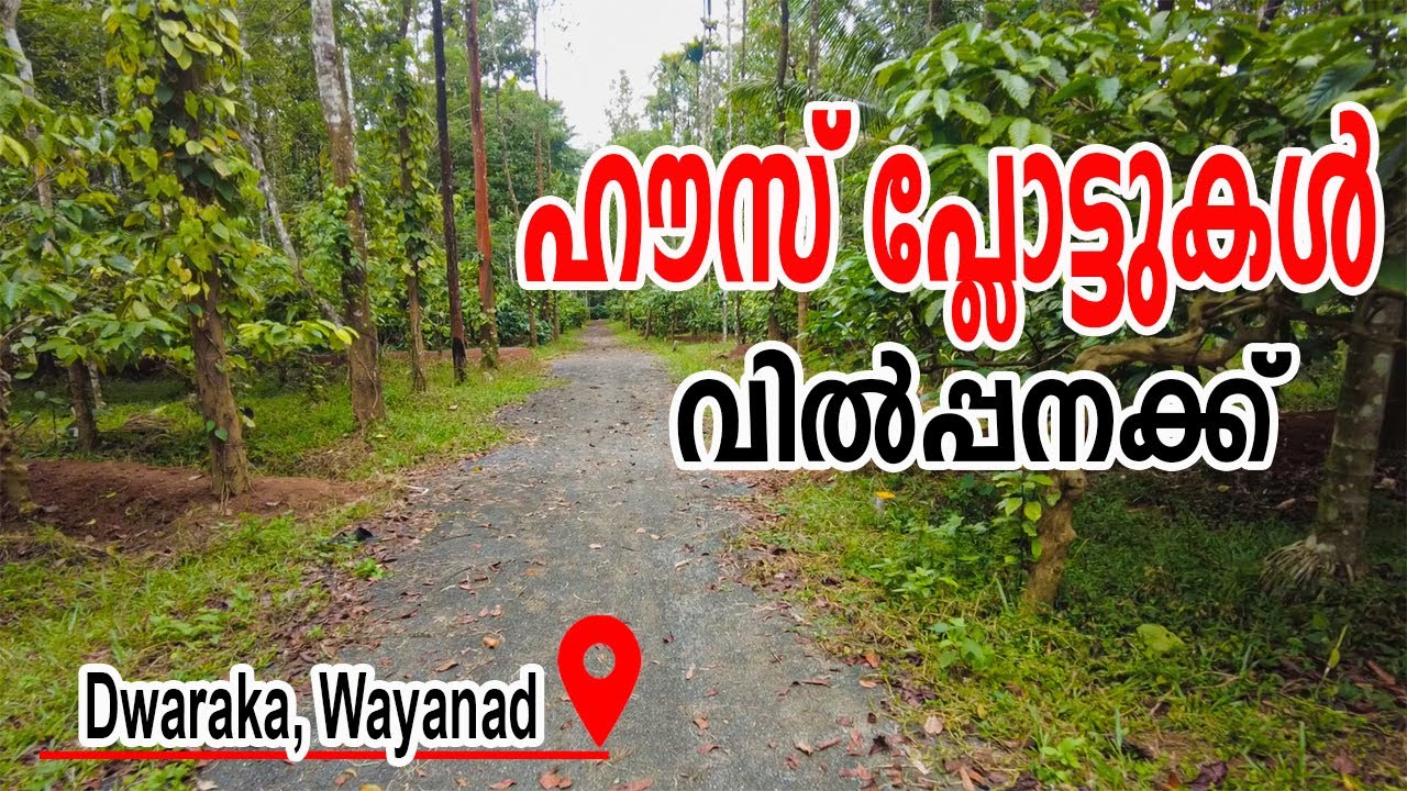House Plots for Sale Dwaraka near Mananthavady wayanad kerala YouTube