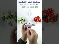 القلم القارئ القلم الناطق للقرآن الكريم