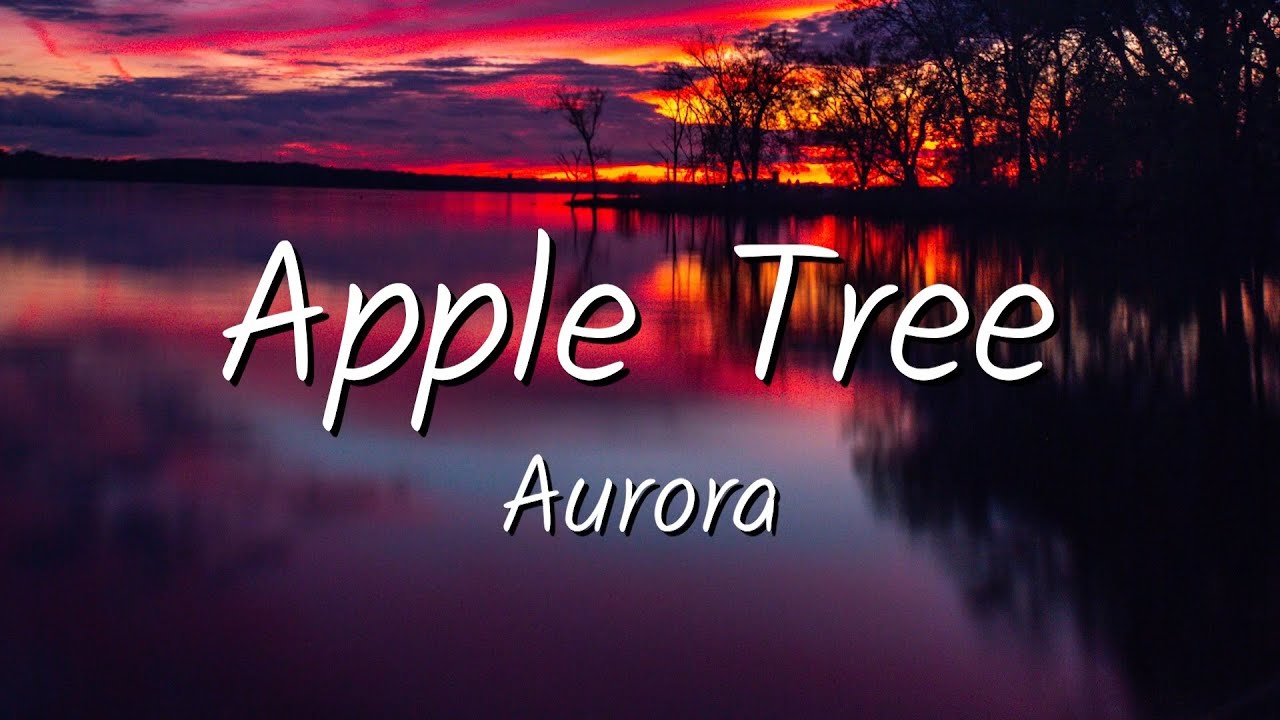 Aurora Apple Tree (Lyrics) YouTube