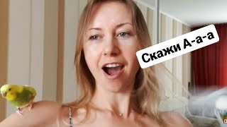 УЧУ ПОПУГАЯ ГОВОРИТЬ УЧУ ПОПУГАЯ ГОВОРИТЬ