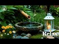 Healing Frequency 🌸 Relax the Mind, Heal the Soul
