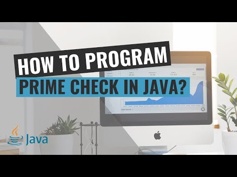 How to Program Prime number check in Java?