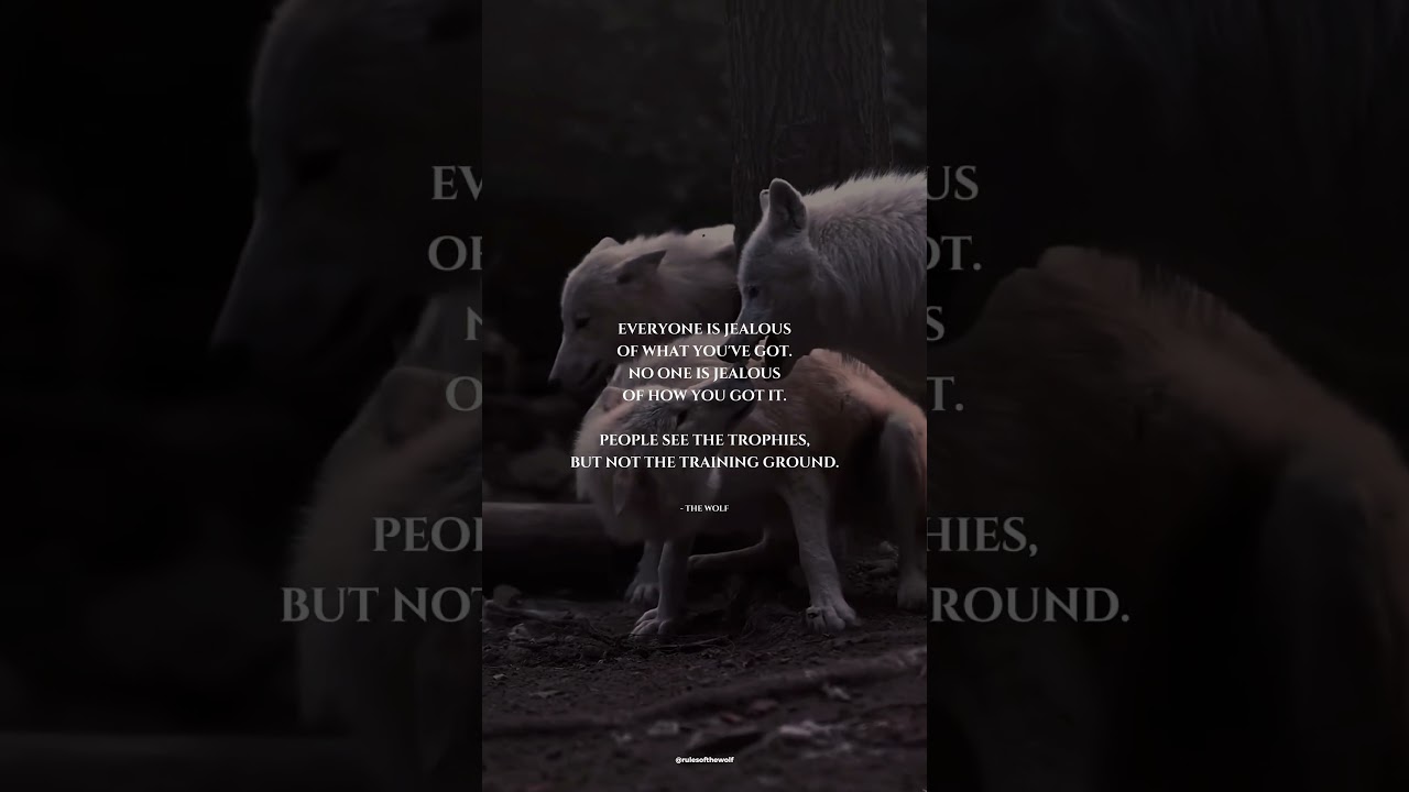 They see the glory, never the grit.