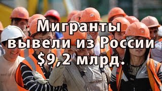 Гастарбайтеры на рынке труда России