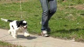 MVI_5752.AVI