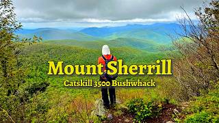 Mount Sherrill Bushwhack With Hidden Viewpoint & Abandoned Bus — Hiking the Catskills