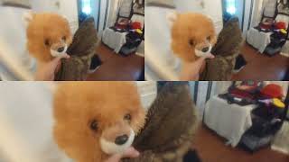 Scrats Conentinal Crack Up 11