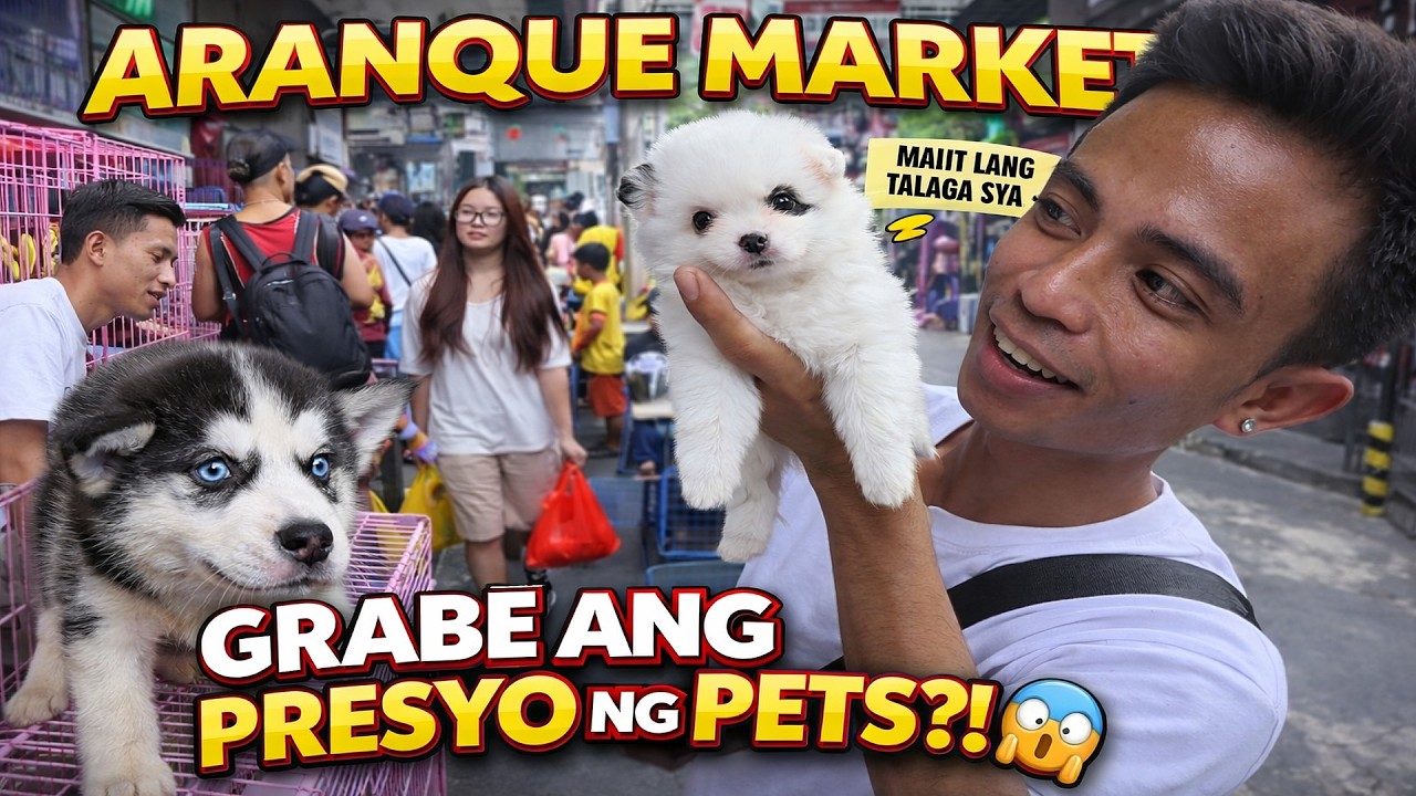 Magkano ang Mga Aso at Pusa sa ARANQUE? (Full Tour) ARANQUE PET MARKET PRICE UPDATE