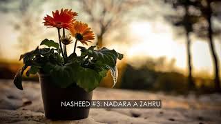 Collection Of Best 10 Wedding Nasheeds مجموعة افضل الاناشيد للاعراس Without Music