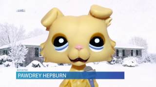 LITTLEST PET SHOP NEWS SPECIAL REPORT: TOM DAWSON SPOTTED - BREAKING NEWS UPDATE #5