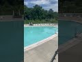 NYC public pool prep underway for summer opening #shorts