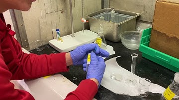 SJSU CHE163L biofuel part 13- Quantifying Soap (1/2)