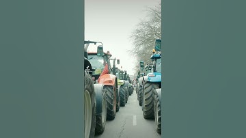 Flemish farmers protesting against measures to cut down nitrogen emissions