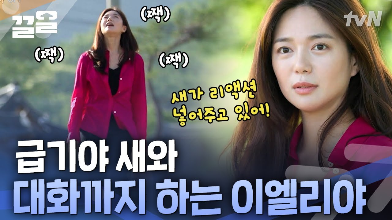 지금 새가 말하고 있어요..! 의식의 흐름대로 즐기는 담양 그 자체 이엘리야의 OFF 라이프☘️  | 온앤오프